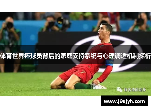 体育世界杯球员背后的家庭支持系统与心理调适机制探析