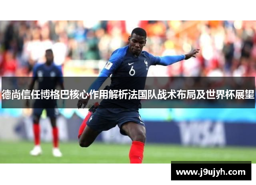德尚信任博格巴核心作用解析法国队战术布局及世界杯展望