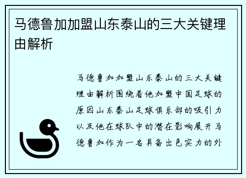 马德鲁加加盟山东泰山的三大关键理由解析