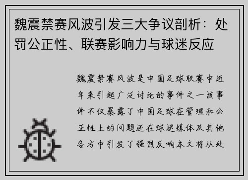 魏震禁赛风波引发三大争议剖析：处罚公正性、联赛影响力与球迷反应